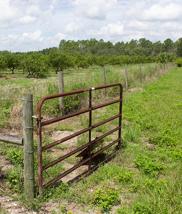 red gate